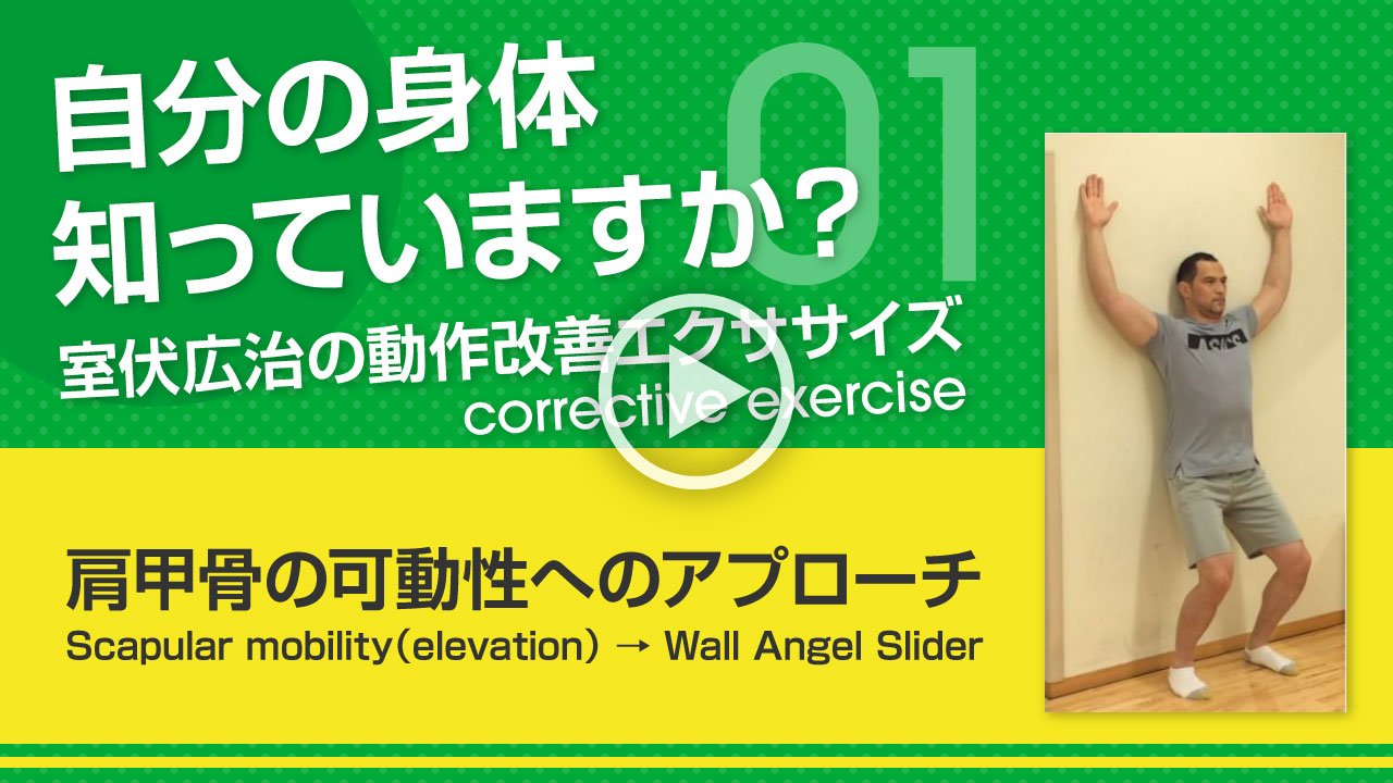 肩甲骨の可動性へのアプローチ サムネイル